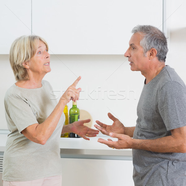 Wife arguing with her husband Stock photo © wavebreak_media