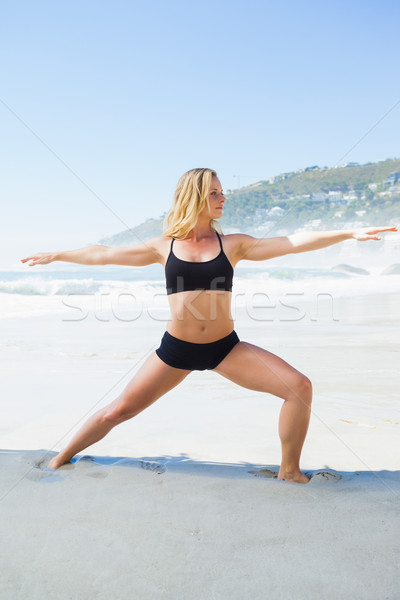 Geschikt blond krijger pose strand Stockfoto © wavebreak_media