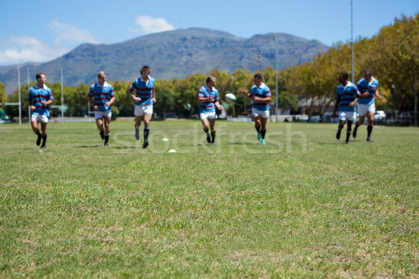 Foto stock: Rugby · equipo · jugando · partido · herboso · campo