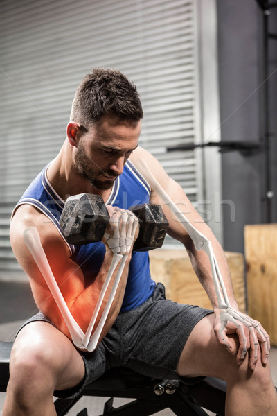 Maschio atleta manubri palestra uomo fitness Foto d'archivio © wavebreak_media