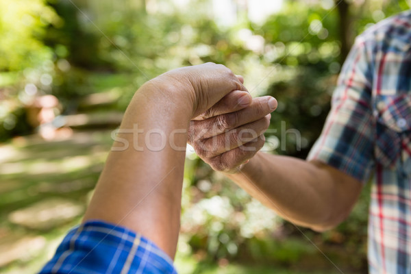 Casal de idosos de mãos dadas jardim comunicação idoso Foto stock © wavebreak_media