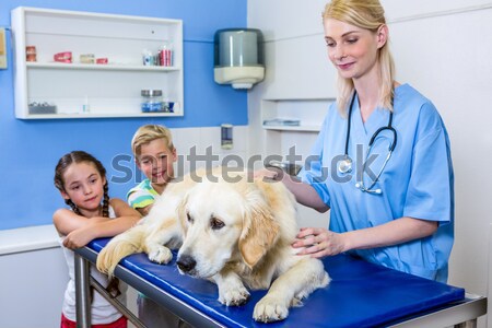 Wenig Junge schauen xray Arzt Krankenschwester Stock foto © wavebreak_media