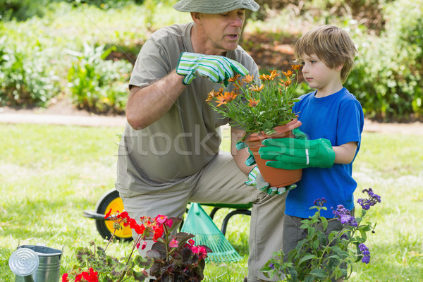 Stock foto: Großvater · Enkel · engagiert · Gartenarbeit · Ansicht · Gras
