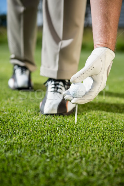 Golfer placing golf ball on tee Stock photo © wavebreak_media