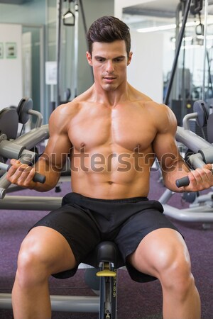 Izmos férfi testmozgás súlyzók tornaterem póló nélkül Stock fotó © wavebreak_media