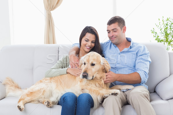 Couple stroking dog while sitting on sofa Stock photo © wavebreak_media