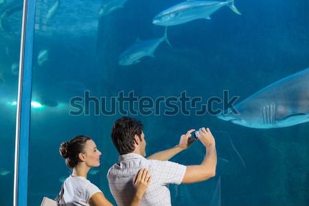 Para Fotografia rekina akwarium człowiek Zdjęcia stock © wavebreak_media