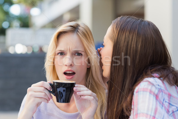 Brunette telling secret to her friend while drinking coffee Stock photo © wavebreak_media