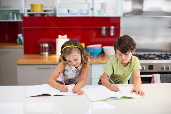Broers en zussen huiswerk keuken home meisje kind Stockfoto © wavebreak_media