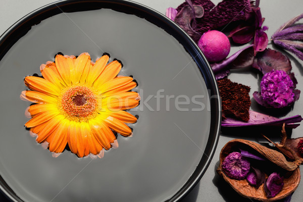 Narancs lebeg fekete tál lila száraz Stock fotó © wavebreak_media