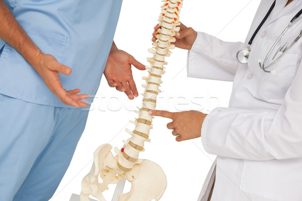 Twee artsen bespreken skelet model Stockfoto © wavebreak_media
