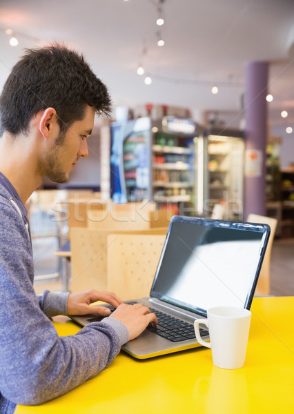 Zdjęcia stock: Młodych · student · za · pomocą · laptopa · Kafejka · uczelni · komputera