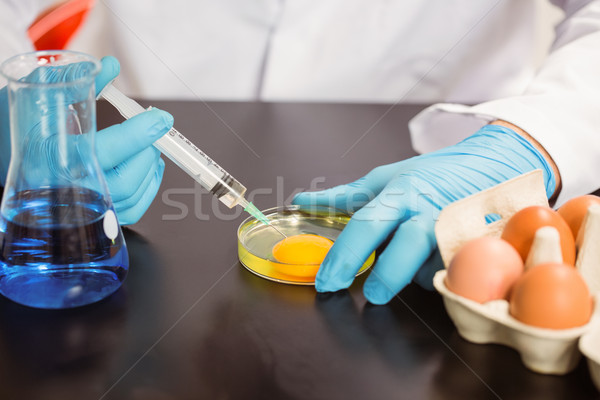 Food scientist injecting an egg yolk in petri dish Stock photo © wavebreak_media