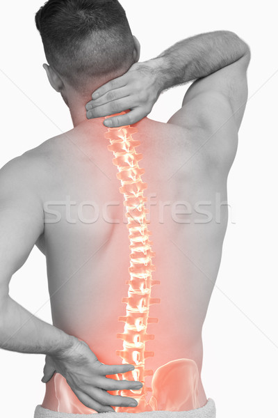 Digital composite Wirbelsäule Mann Rückenschmerzen weiß Team Stock foto © wavebreak_media