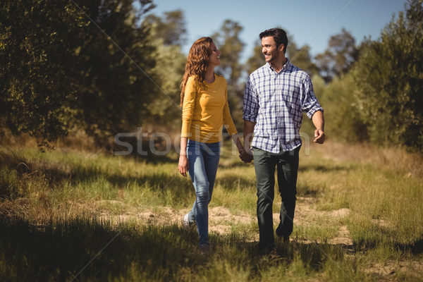 Happy young couple holding hands at olive farm Stock photo © wavebreak_media