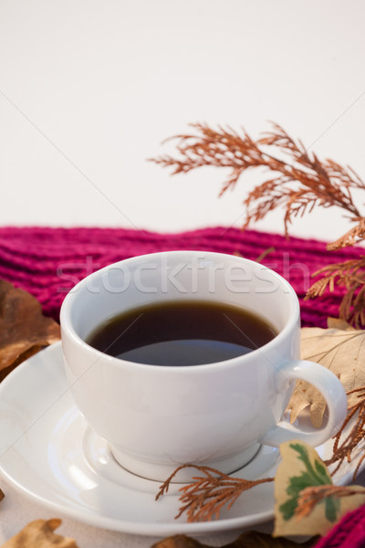 Cup of black tea with autumn leaves and woolen cloth Stock photo © wavebreak_media