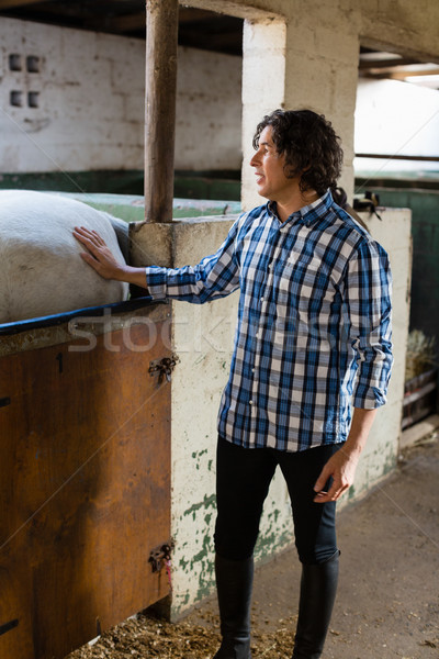 Man caressing the white horse in the ranch Stock photo © wavebreak_media