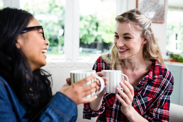 Vrolijk vrouwelijke vrienden drinken koffie home Stockfoto © wavebreak_media