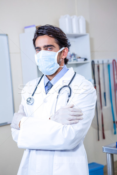 Stockfoto: Dierenarts · masker · kantoor · portret · medische