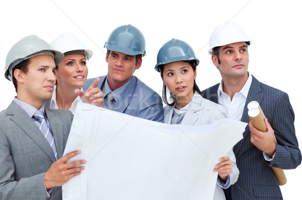 Foto stock: Estudar · blueprints · isolado · branco · edifício · urbano