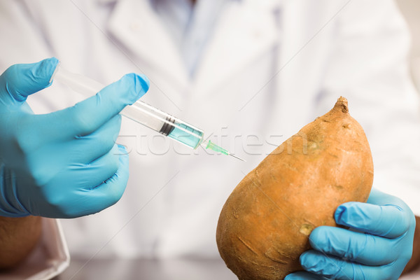 Alimentaire scientifique de pomme de terre Université école technologie [[stock_photo]] © wavebreak_media