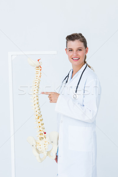 Orvos mutat anatómiai gerincoszlop fehér női Stock fotó © wavebreak_media