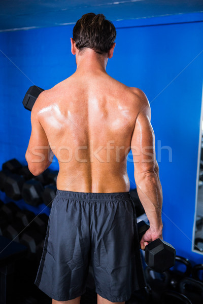 Vue arrière athlète gymnase fitness [[stock_photo]] © wavebreak_media