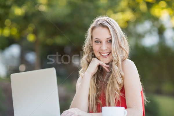 Kadın el çene dizüstü bilgisayar kullanıyorsanız portre bilgisayar Stok fotoğraf © wavebreak_media