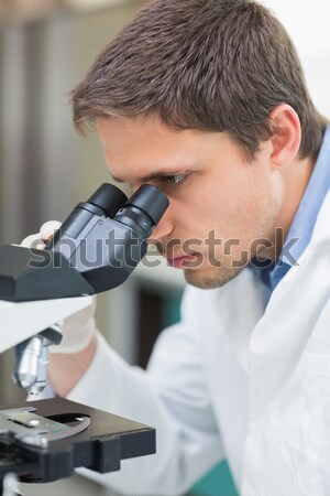 Sérieux Homme scientifique regarder microscope laboratoire [[stock_photo]] © wavebreak_media
