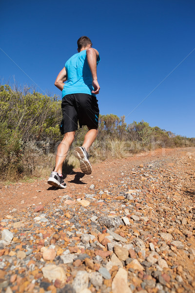慢跑 ·上· 国家 · 线索 / athletic man jogging up country trail
