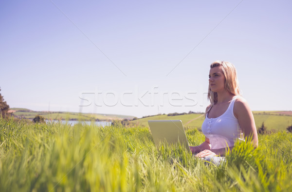 довольно блондинка сидят трава используя ноутбук Сток-фото © wavebreak_media