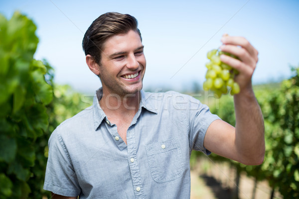 Happy young man holding grapes Stock photo © wavebreak_media