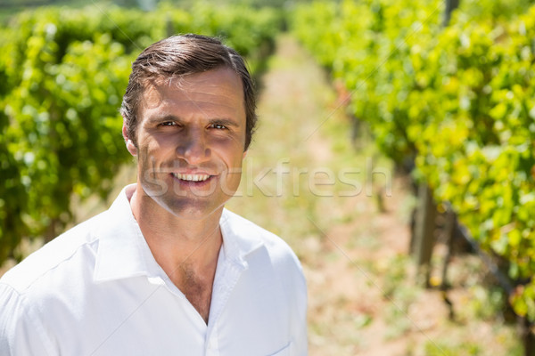 Portrait of smiling vintner standing in vineyard Stock photo © wavebreak_media