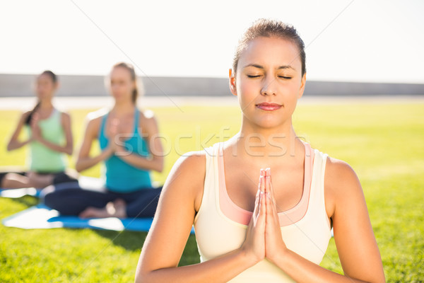 Stock foto: Friedlich · sportlich · Brünette · Yoga · Freunde · Frau