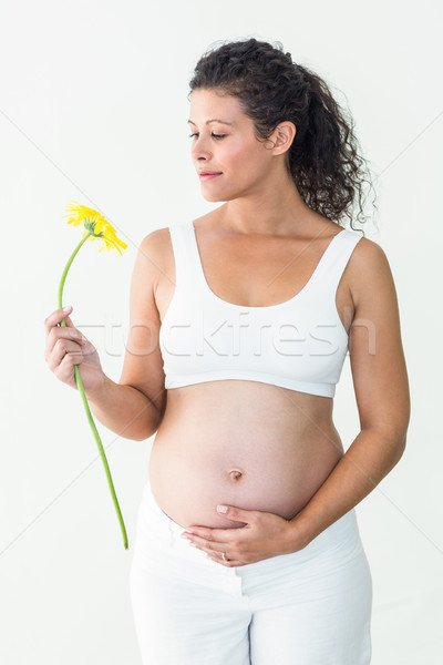 Stock photo: Pregnant woman looking at flower while touching her belly