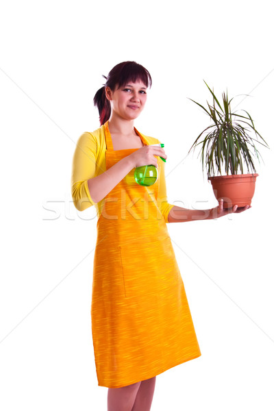 photo set of a housewife in a studio Stock photo © weecy