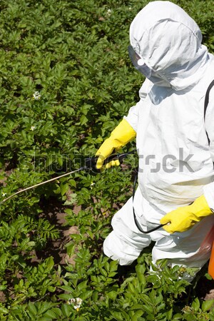 Pesticide spraying Stock photo © wellphoto