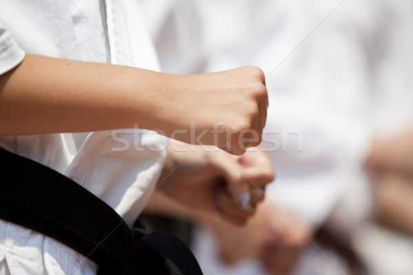 Siła karate szkolenia ręce strony wykonywania Zdjęcia stock © wellphoto