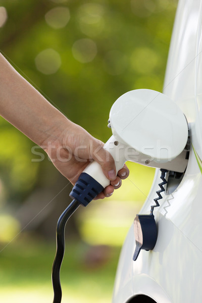 Electric vehicle charging Stock photo © wellphoto