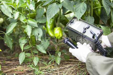 Radiatie alimente mână grădină plantă Imagine de stoc © wellphoto