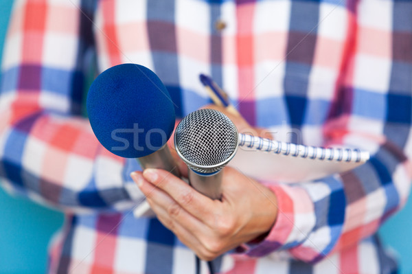 Periodista rueda de prensa los medios de comunicación entrevista periodismo femenino Foto stock © wellphoto