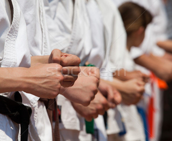 Karate formazione mani mano potere successo Foto d'archivio © wellphoto