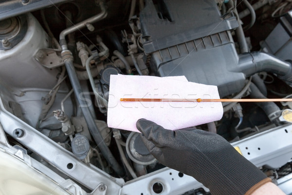 Stock photo: Checking motor oil level in the car. New engine lubricant.