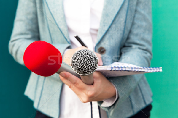 Kobiet reporter dziennikarz konferencja prasowa piśmie zauważa Zdjęcia stock © wellphoto