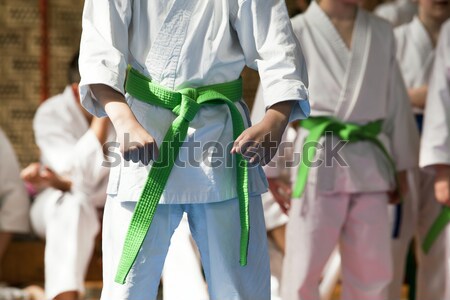 Karate formación poder puno protección saludable Foto stock © wellphoto