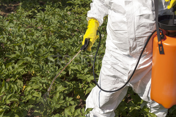 Pesticide spraying  Stock photo © wellphoto