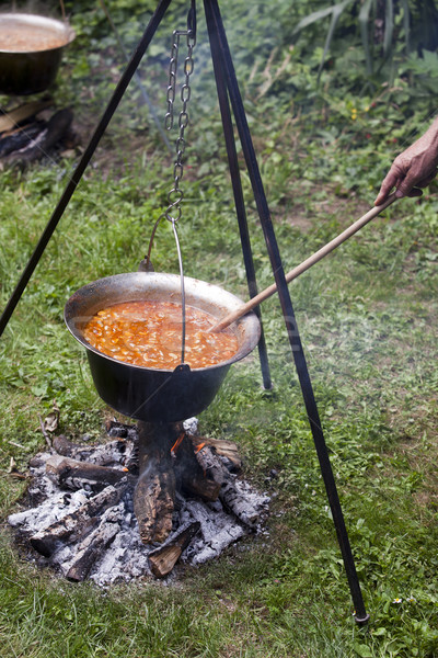 Kemping obiad czajnik grzyby zupa żywności Zdjęcia stock © wellphoto