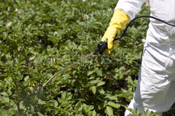 	Pesticide spraying Stock photo © wellphoto