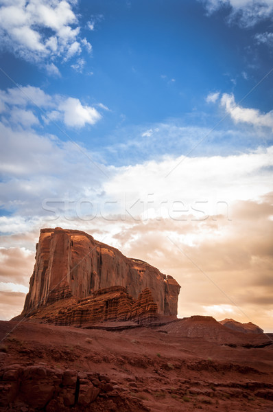 Elefant Monument valley Stock photo © weltreisendertj