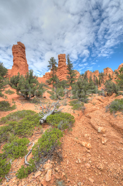 Bryce Canyon entry Stock photo © weltreisendertj